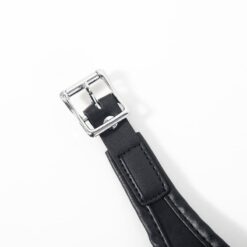 Ceinture de Chasteté avec Gode Anal et Vaginal