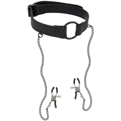 collier BDSM pince teton