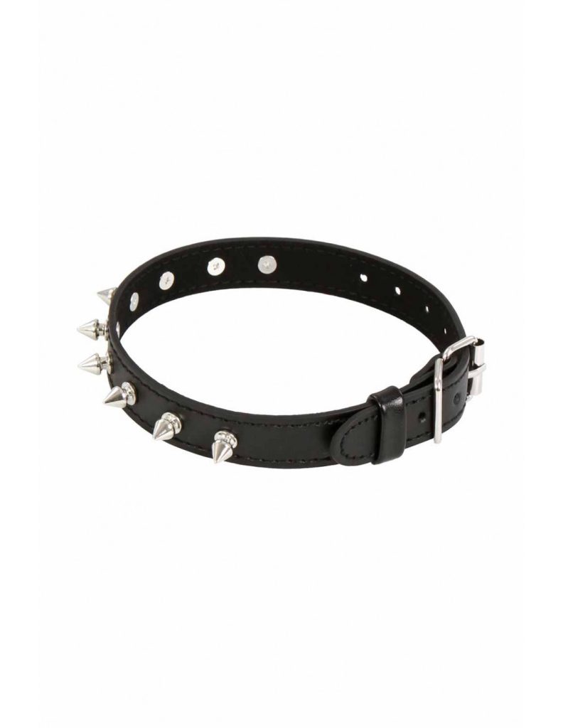 Collier Chien Soumis Pointe Métal PlugezVous Colis Discret