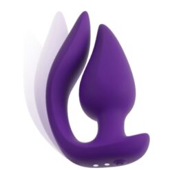Culotte Vibrante Anal avec Télécommande