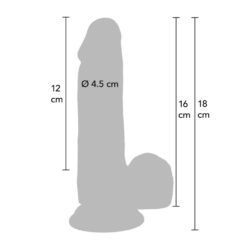 Gode Réaliste avec Testicules 18x4,5cm
