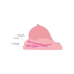 Masturbateur Gros Seins et Vagin