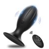 Plug Anal avec Vibrations Intenses avec télécommande