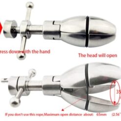 plug anal de chastete soumission