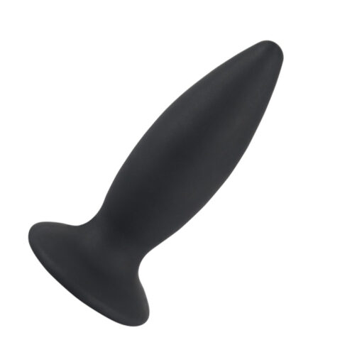 Plug Anal Ergonomique Vibrant Silicone