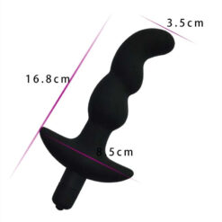Plug Anal Prostate de L'enfer