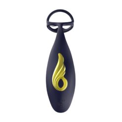 Stimulateur de Prostate Va et Vients Bleu