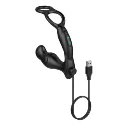 Stimulateur prostatique vibrant Plaisirs Intenses